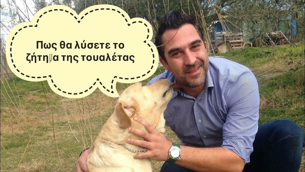 Πως θα μάθετε στον σκύλο σας να μην λερώνει μέσα στο σπίτι