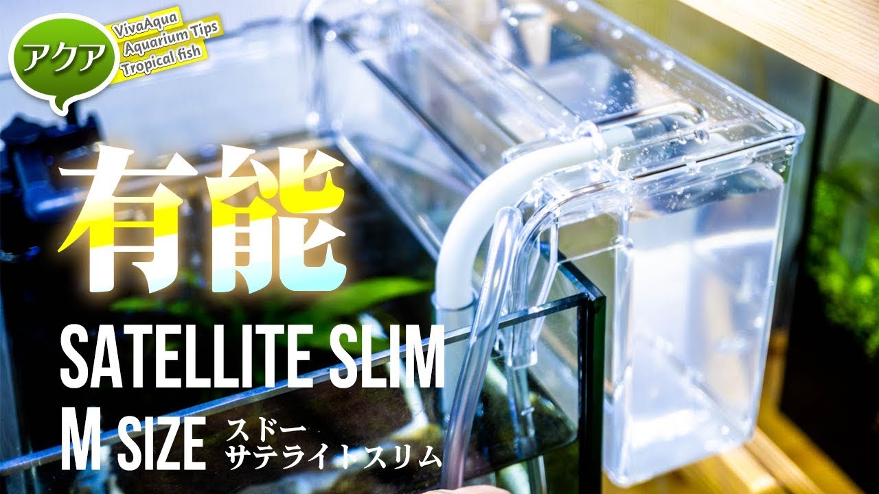 スドーサテライトスリムは稚魚育成にオススメ！別売りパーツが標準付属 【ビバアクア】