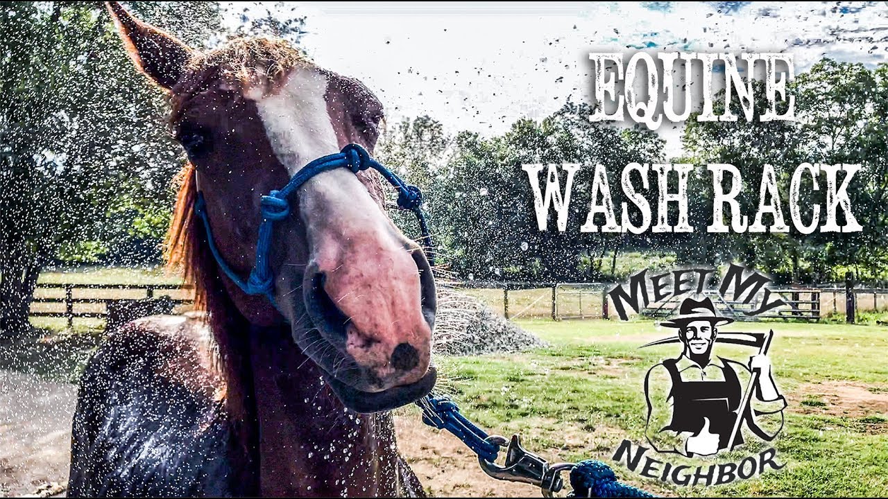 Build a Horse Wash Rack