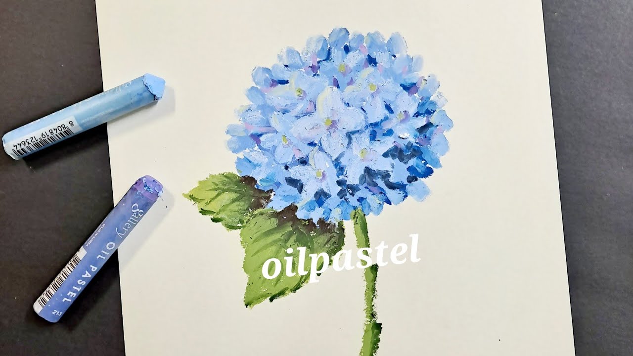 오일파스텔로 수국 그리기. 도화지,문교 오일파스텔 72색.