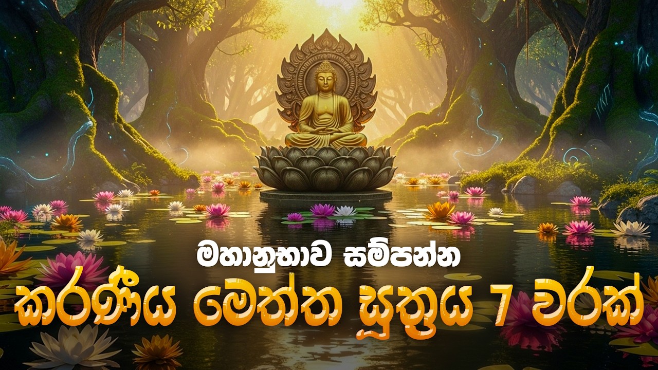 කරණීය මෙත්ත සූත්‍රය 7 වරක්  - Karaniya Meththa Suthraya 7 Warak | Seth Pirith | Dhammachakka TV