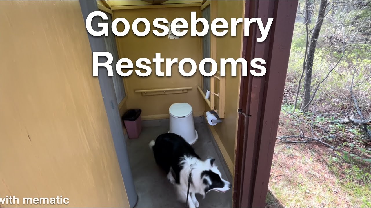 The Latrines of Gooseberry Falls State Park