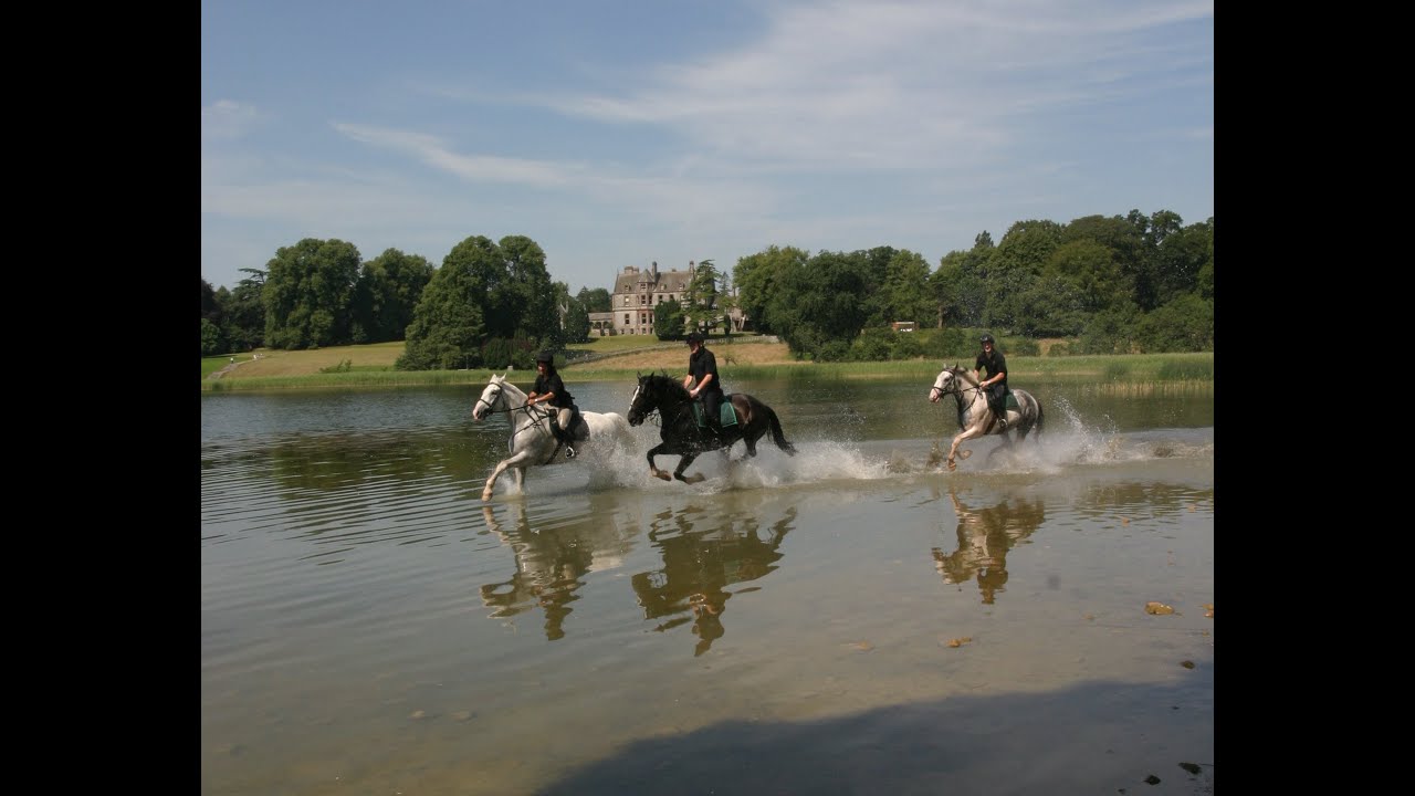 Castle Leslie Estate Equestrian Centre