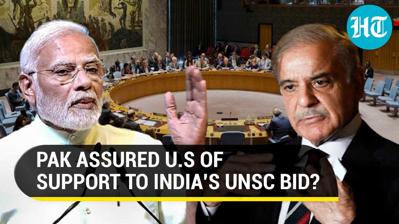 Pak to support India's bid for UNSC permanent membership? Watch Islamabad's response