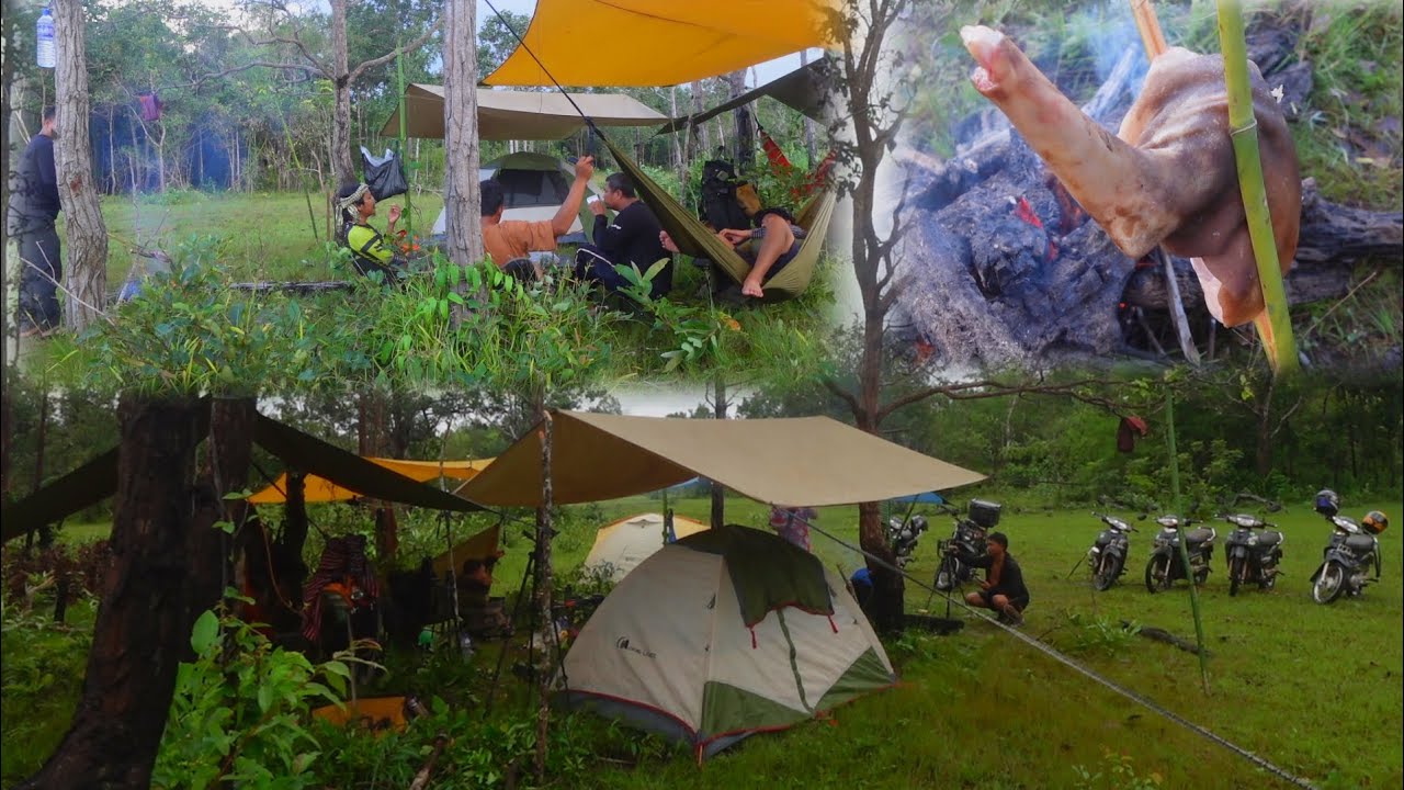 Camping together like an adventure and cooking in forest Green 