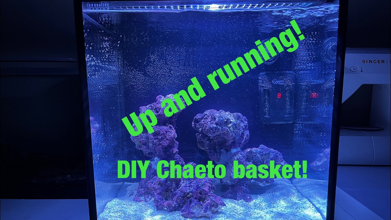 Nano Reef Tank - Setup & Fill Up Innovative Marine Fusion 15 gallons with DIY Chaeto basket