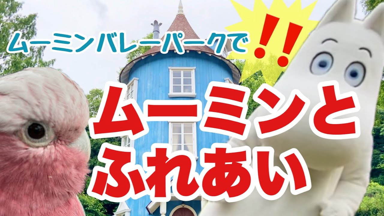 ペット大歓迎のテーマパーク！ムーミンバレーパークへ行ってきたよ♪【モモイロインコの春ちゃん】【モモイロインコのおしゃべり】