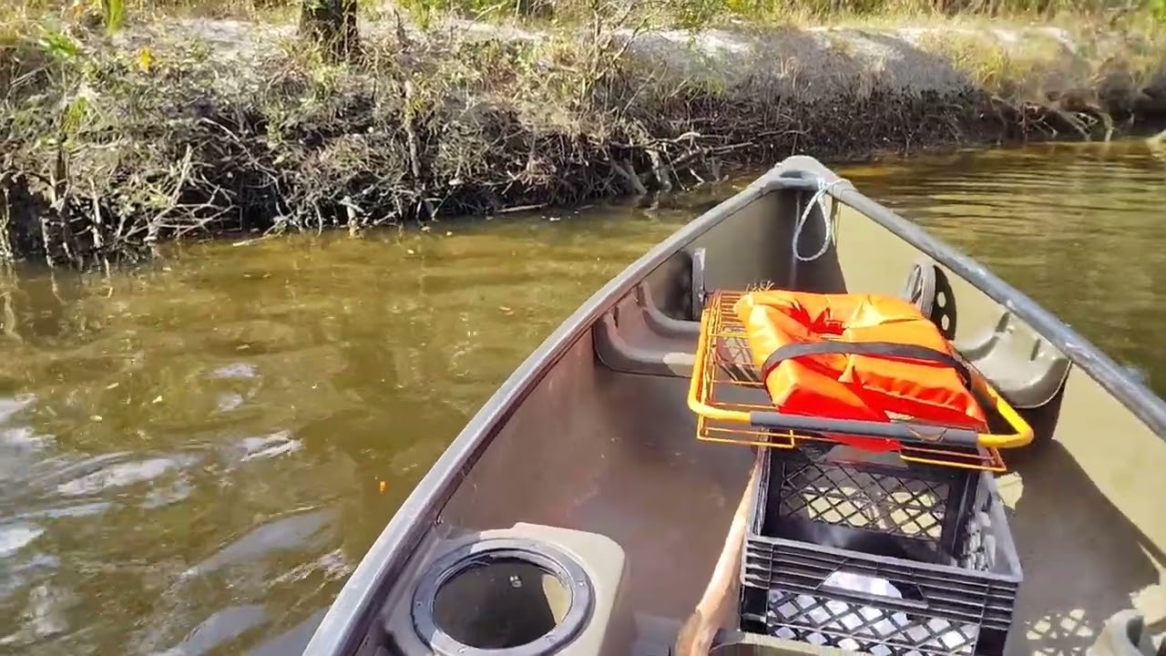 Crab check! Nothing :( #florida #outdoors #fyp #river #canoeing  