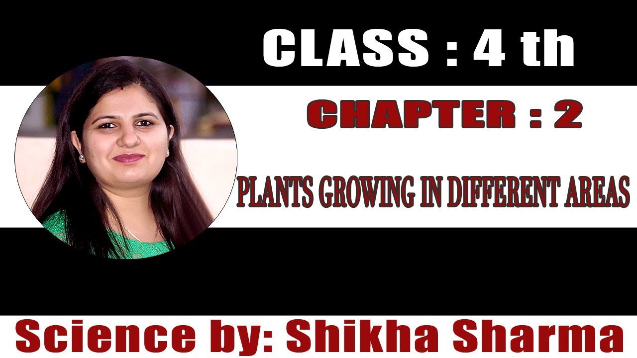 CLASS IV SCIENCE_CHAPTER 2 PLANTS GROWING IN DIFFERENT AREAS