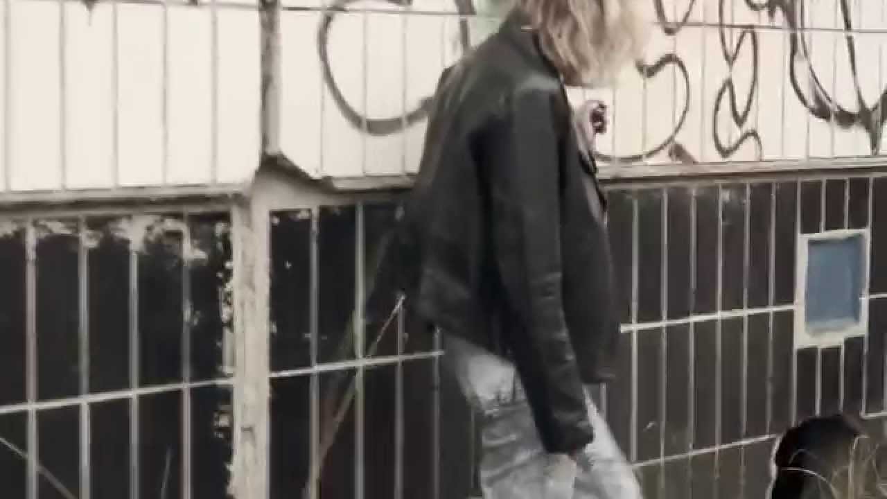 kedr livanskiy  -  solnce yanvarya