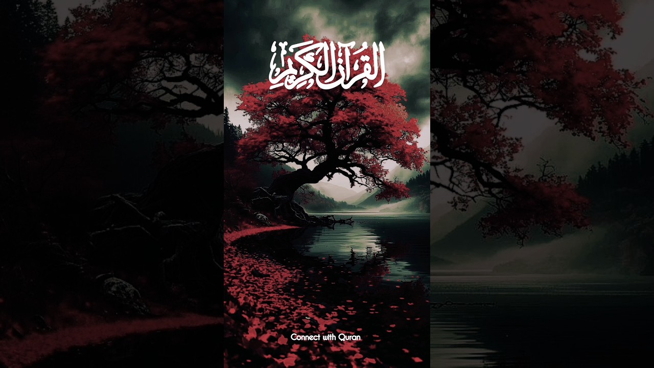 Quran Urdu Translation #Allah #quran #islam #connectwithquran #qurantranslation #love #shorts