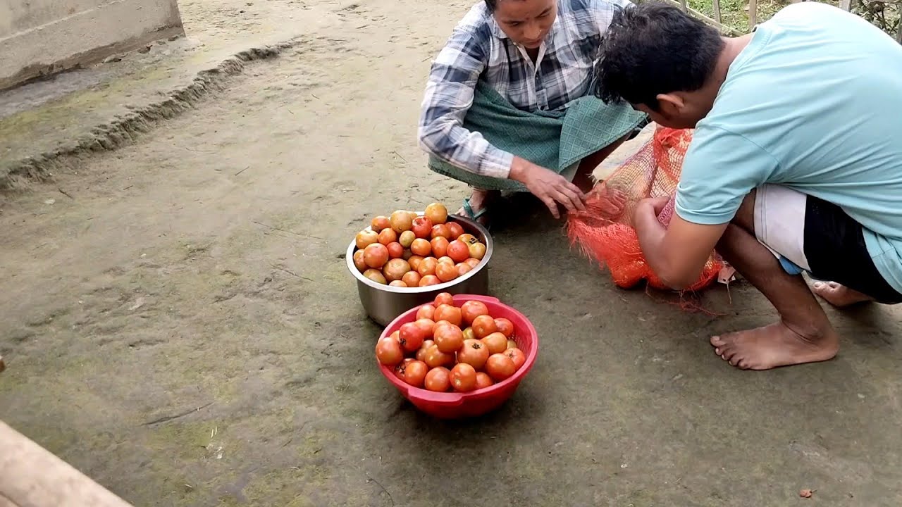  Village local Tometo#mohanloharvlogs#villagelife #villagelifestyle #nepalivlog