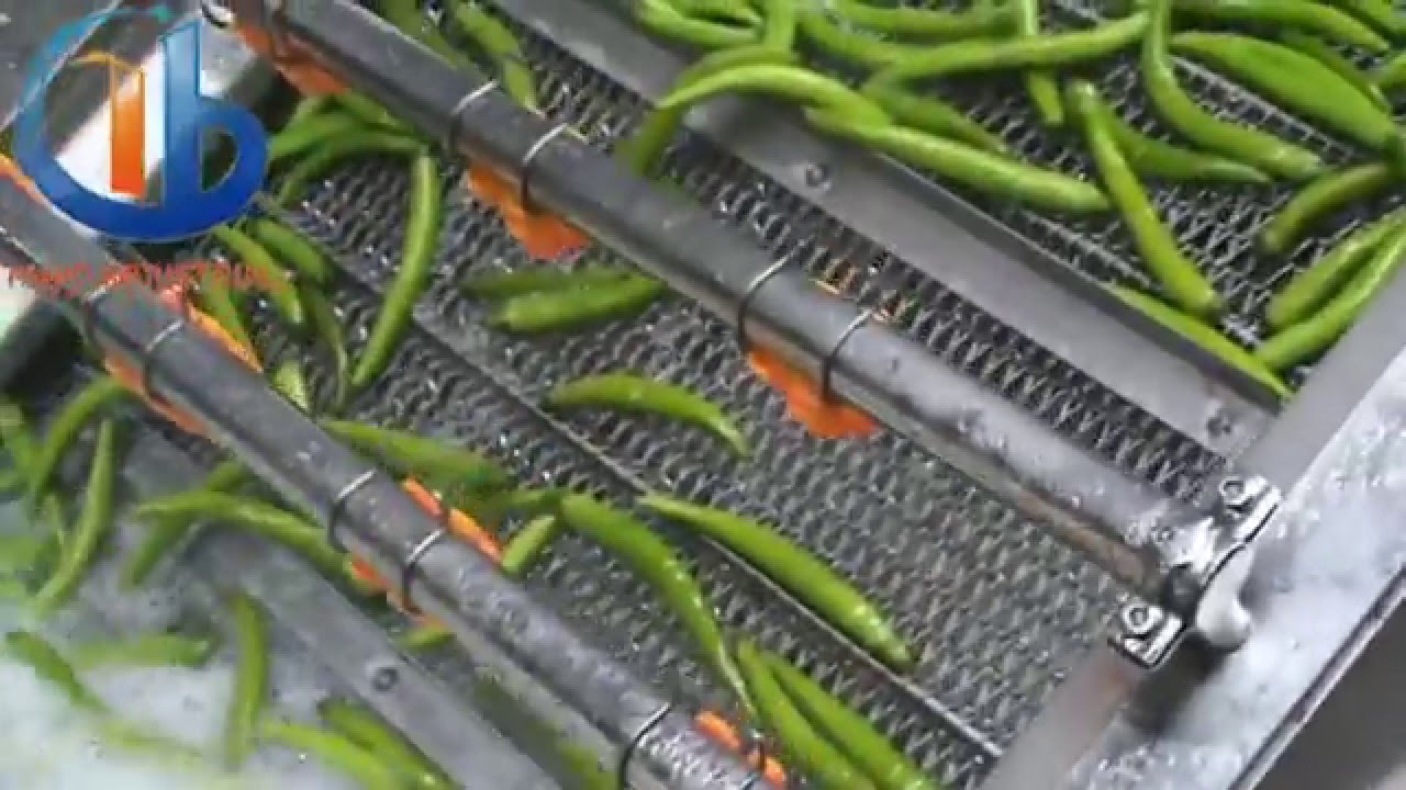 Pepper washing and drying machine
