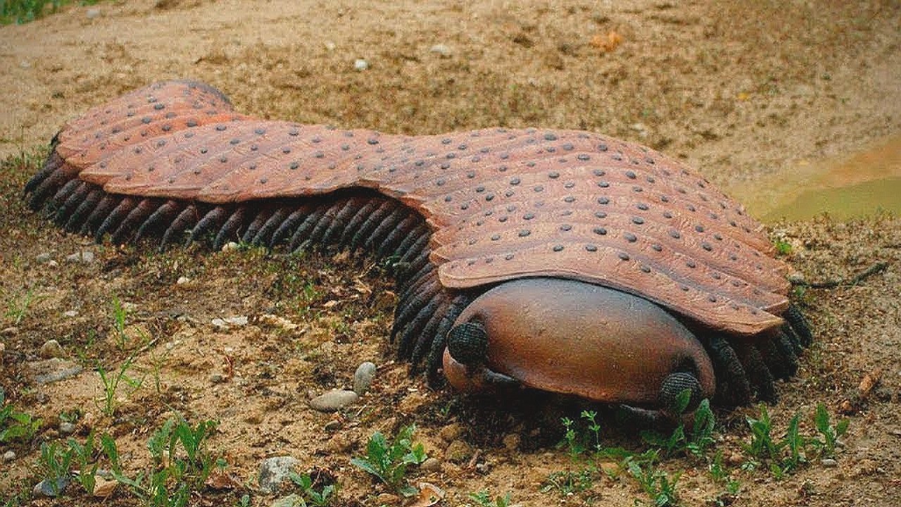 15 Najbardziej Niebezpiecznych Zwierząt Amazonii