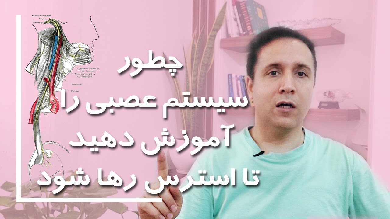 استرس شدید دارم چیکار کنم | برای رفع استرس، چطور سیستم عصبی خودمان را آموزش دهیم