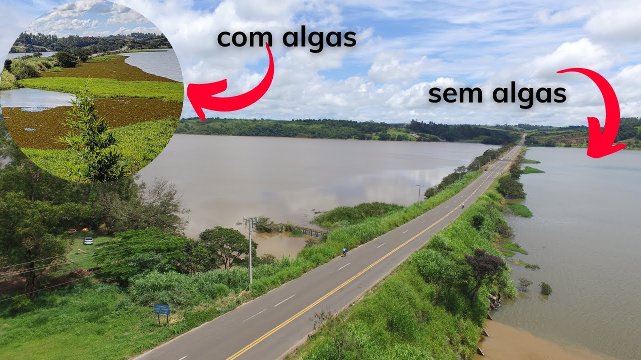 A represa de Furnas com 100% de sua capacidade mas com muitas algas