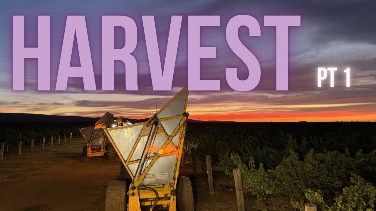 #8 Kaootiline vlog meie harvestist