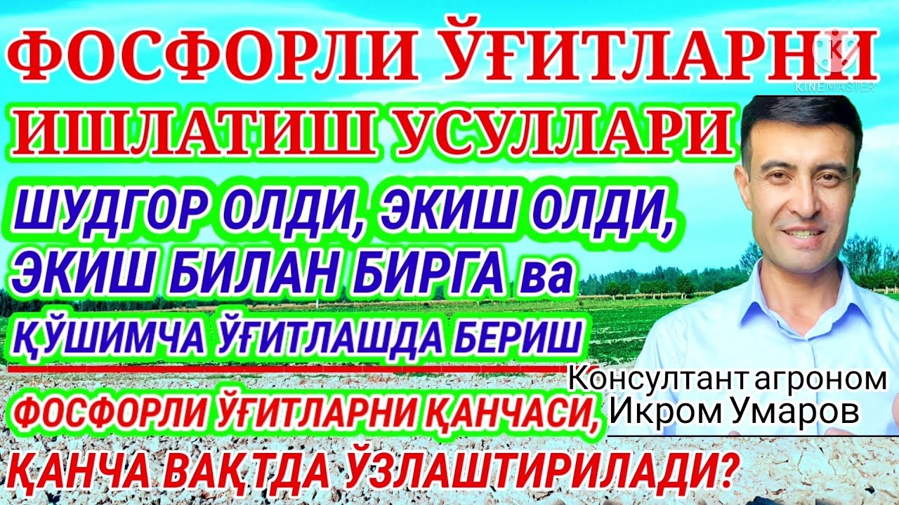 FOSFORLI O‘G‘ITLARNI BERISH MUDDATLARI. 113-son. ФОСФОРНИ БЕРИШ ВАҚТЛАРИ