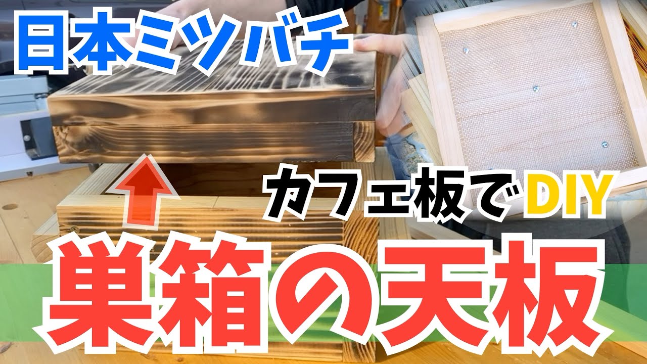 【ある日の日本ミツバチ】重箱式巣箱の天板をDIY