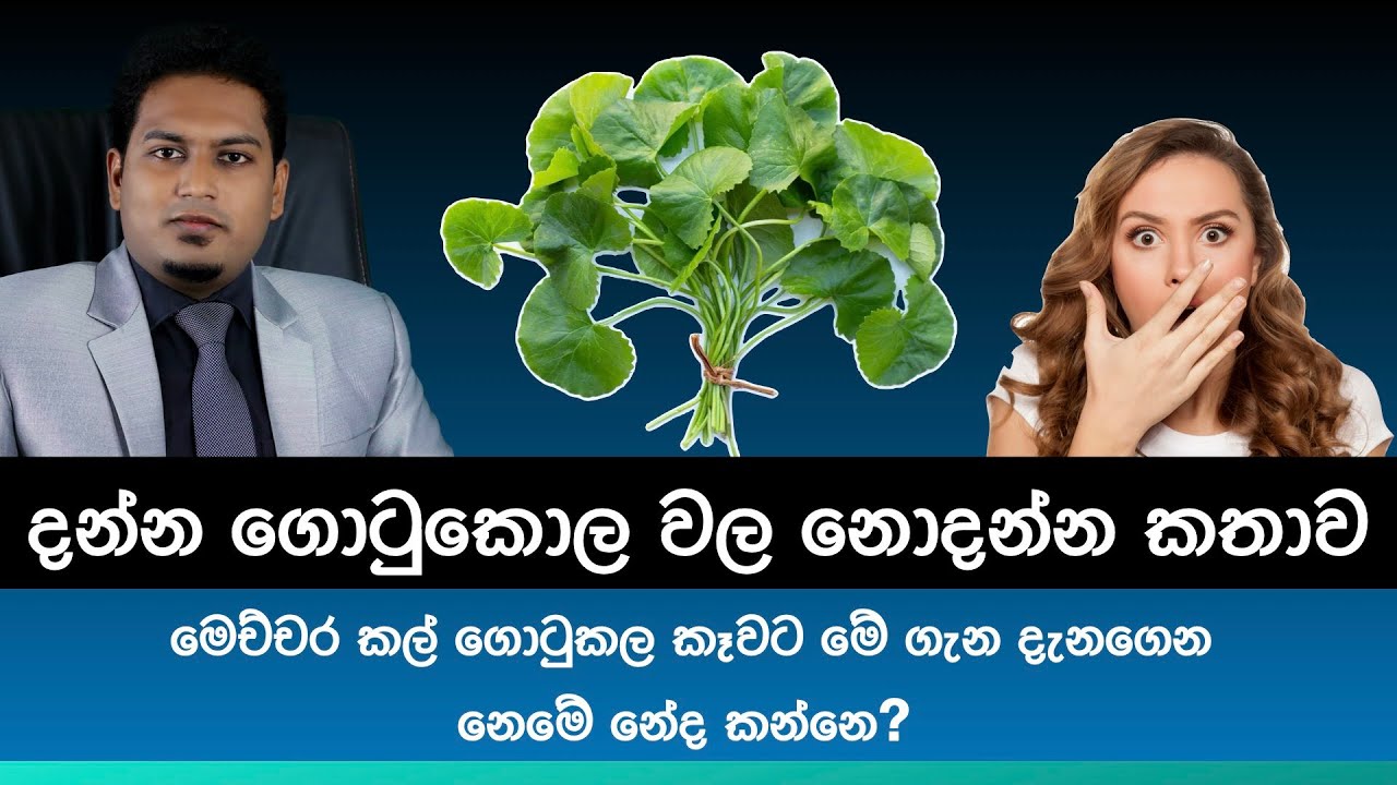 Gotukola and Health By Nutritionist Hiroshan Jayaranga