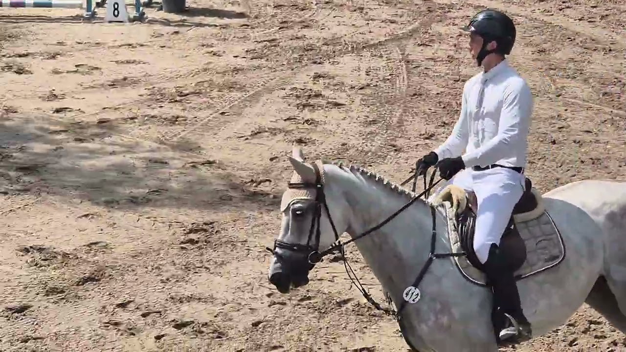 *2020 gelding by Cellestial x Vingino x Heartbreaker. Top equitation prospect!