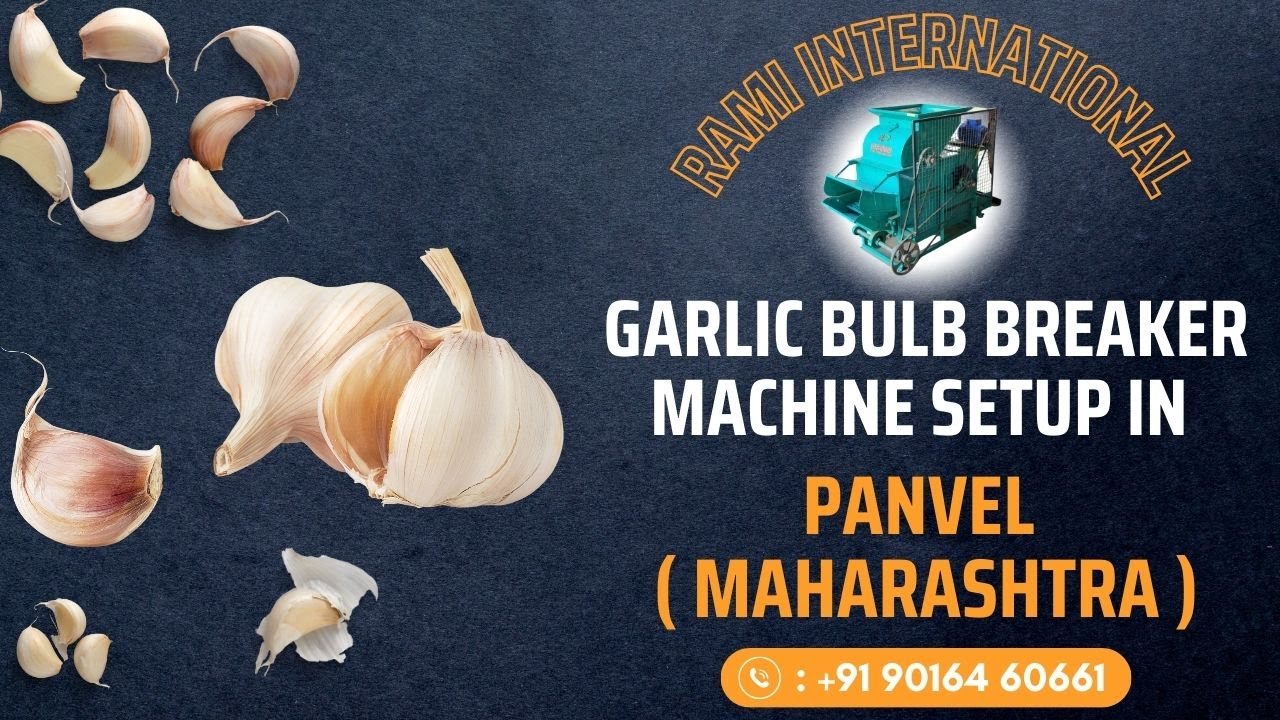 Garlic Bulb Breaker Machine In Panvel (Maharashtra) 🧄 500KG Garlic Clove Separator Machine🧄 #garlic