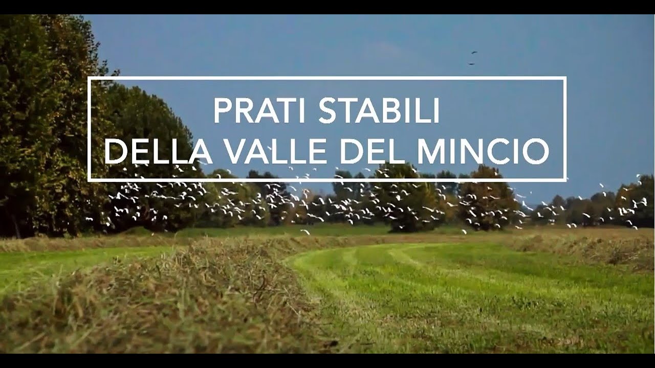 SPOT PRATI STABILI VERSIONE ITALIANA 16000kbps
