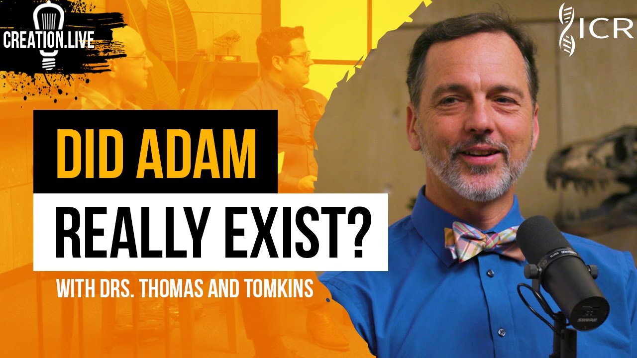 Is Adam a Myth? | Creation.Live Podcast: Episode 12