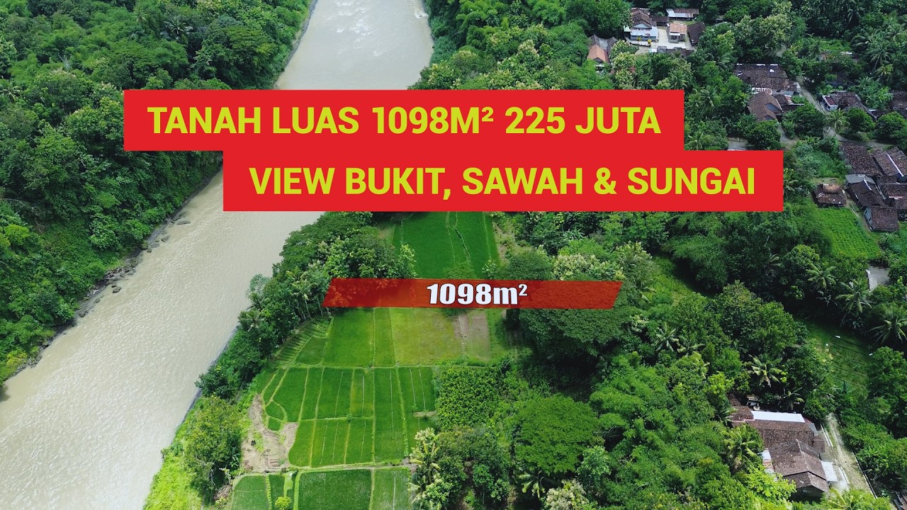 Tanah 1098m² Dialiri Mata Air View Sawah, Sungai & Perbukitan Ditanami Kebun Kopi Hanya 225 Juta