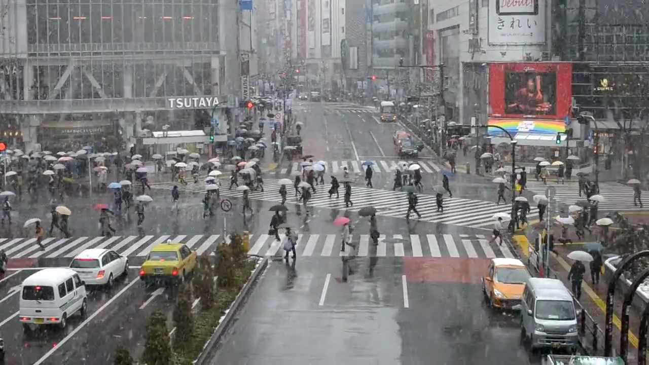 Shibuya scramble crossing under the snow