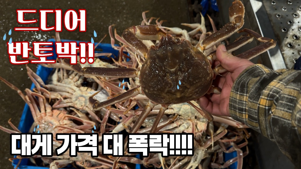 드디어 때가 되었다!!!노량진으로 달리세요!!! 4월 3째주 노량진수산시장 리뷰
