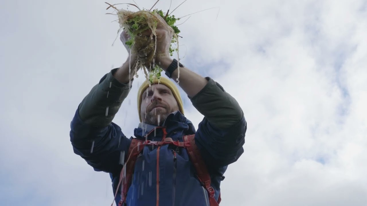 Sphagnum moss - an inspiring case study on Kinder Scout of what is possible for our peatlands
