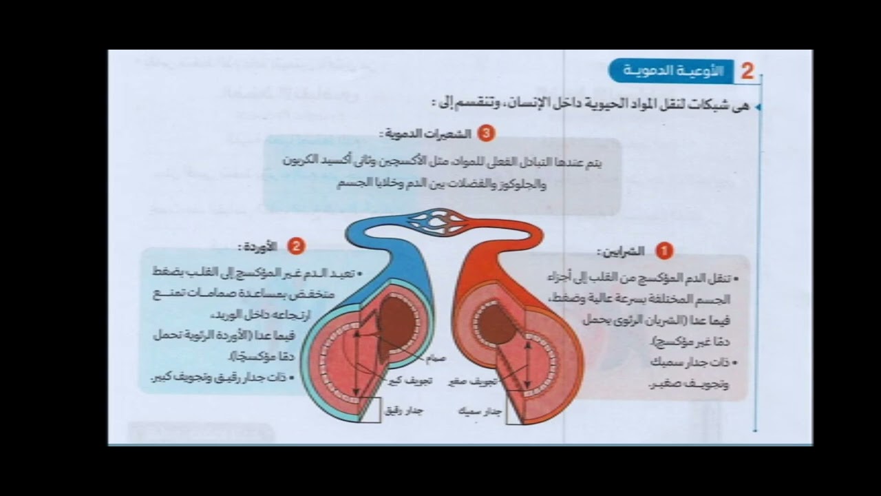 للظرس الثاني منهج العلوم المتكاملة الصف الاول الثانوي الترم الثاني2026  #علوم #علوم_متكامله #لك