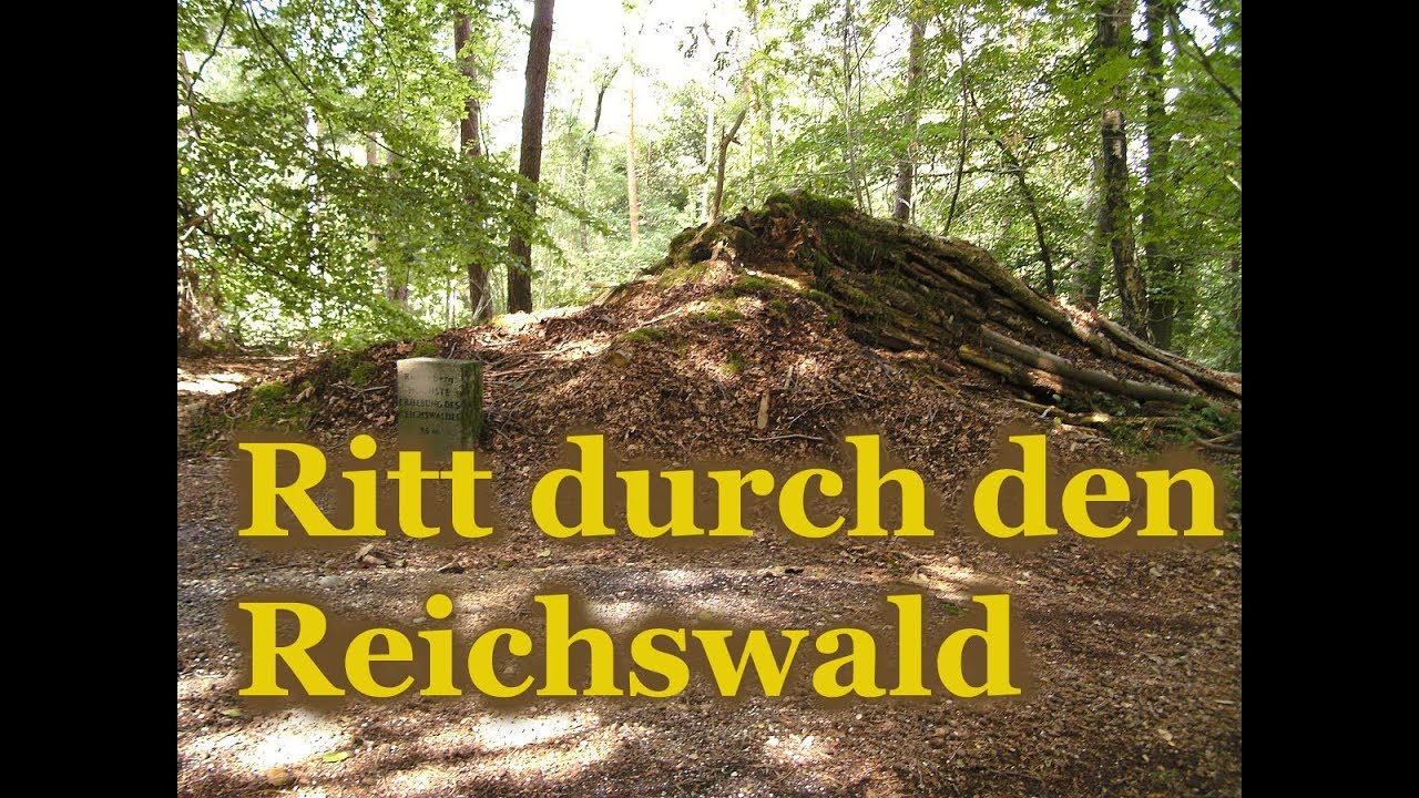 Ausritt zum Reichswald 🌳 🌿 Galopp Aufnahmen
