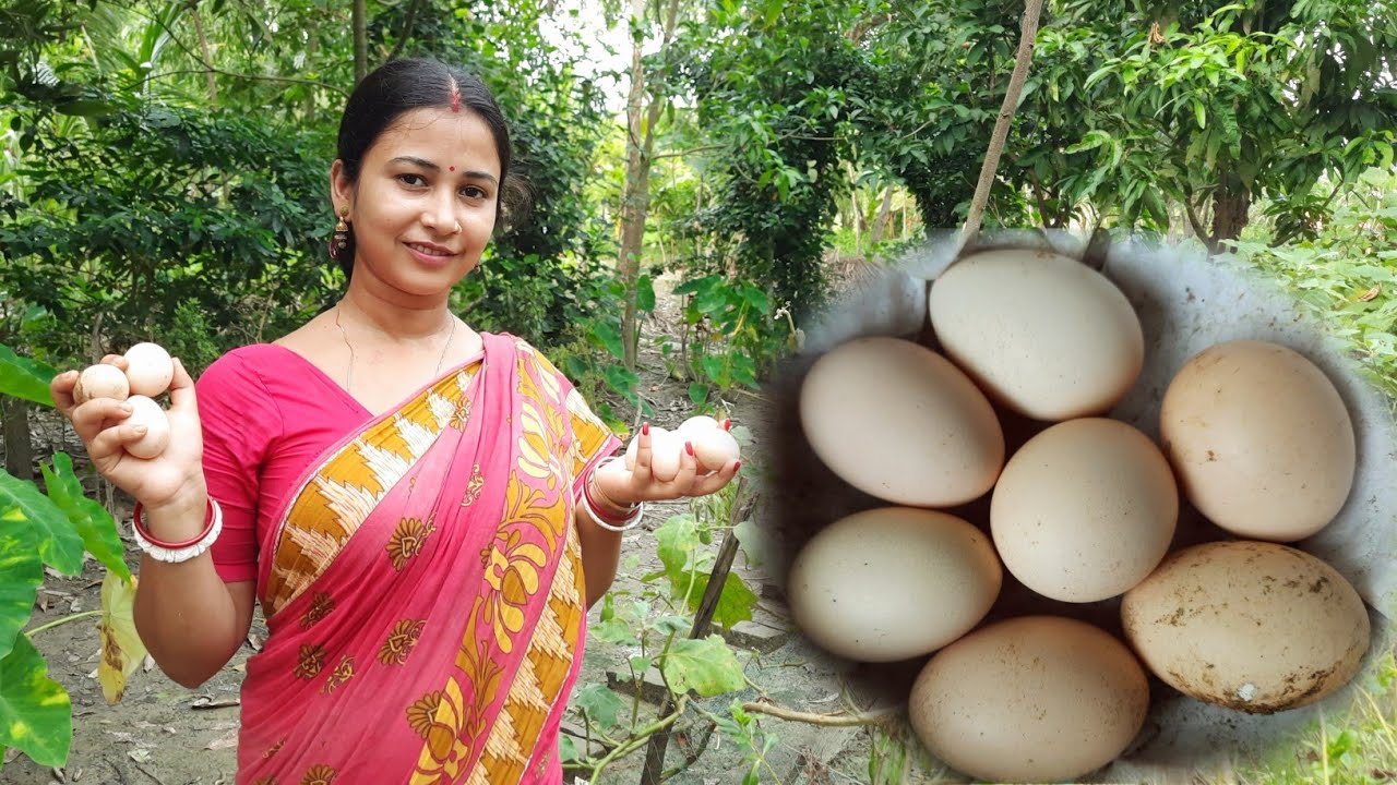 সুন্দরবন মানুষের গ্রাম্য জীবন ||মুরগির ঘর থেকে ডিম তুললাম||লেবুর পাতা দিয়ে মুরগির মাংস রান্না করলাম