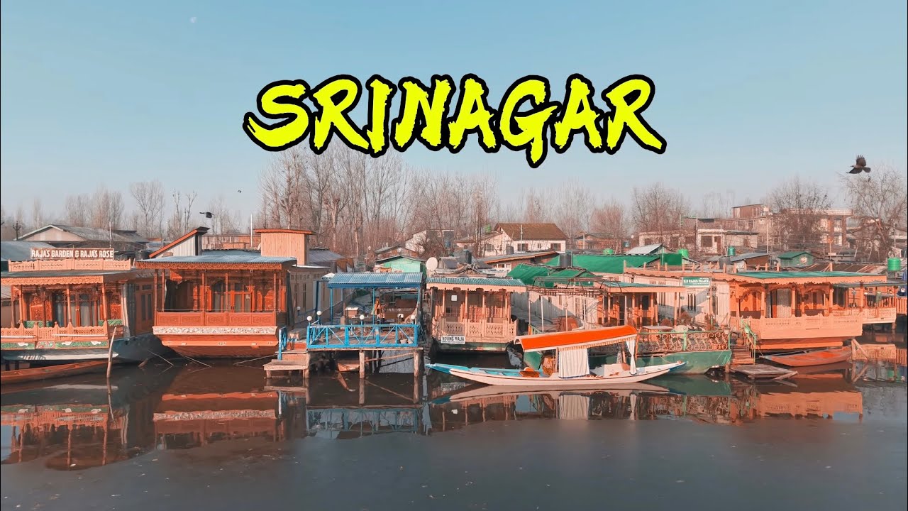 We Stayed on a Frozen Lake ❄️ | Srinagar Houseboat Experience | Part 3