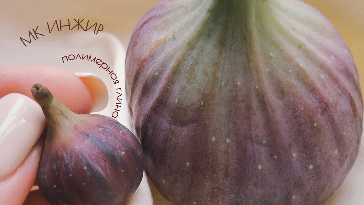 Инжир из полимерной глины/Figs from polymer clay