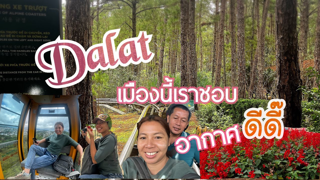 ดาลัด เมืองที่มีอากาศเย็นตลอดทั้งปี เที่ยวไม่มีเบื่อ🇻🇳