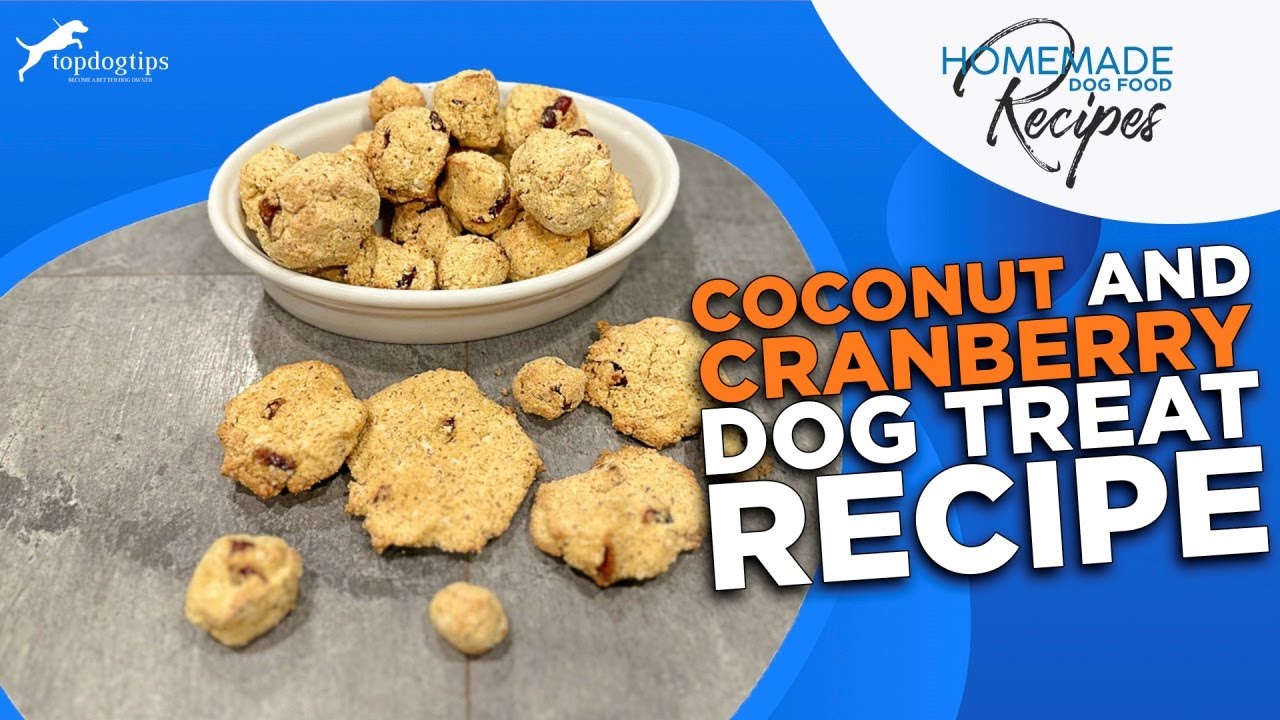 Recipe: Coconut and Cranberry Dog Treats