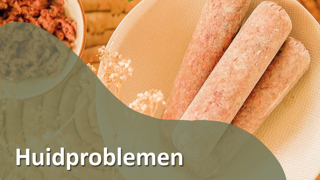 HUIDPROBLEMEN - Honden.TV S02E08