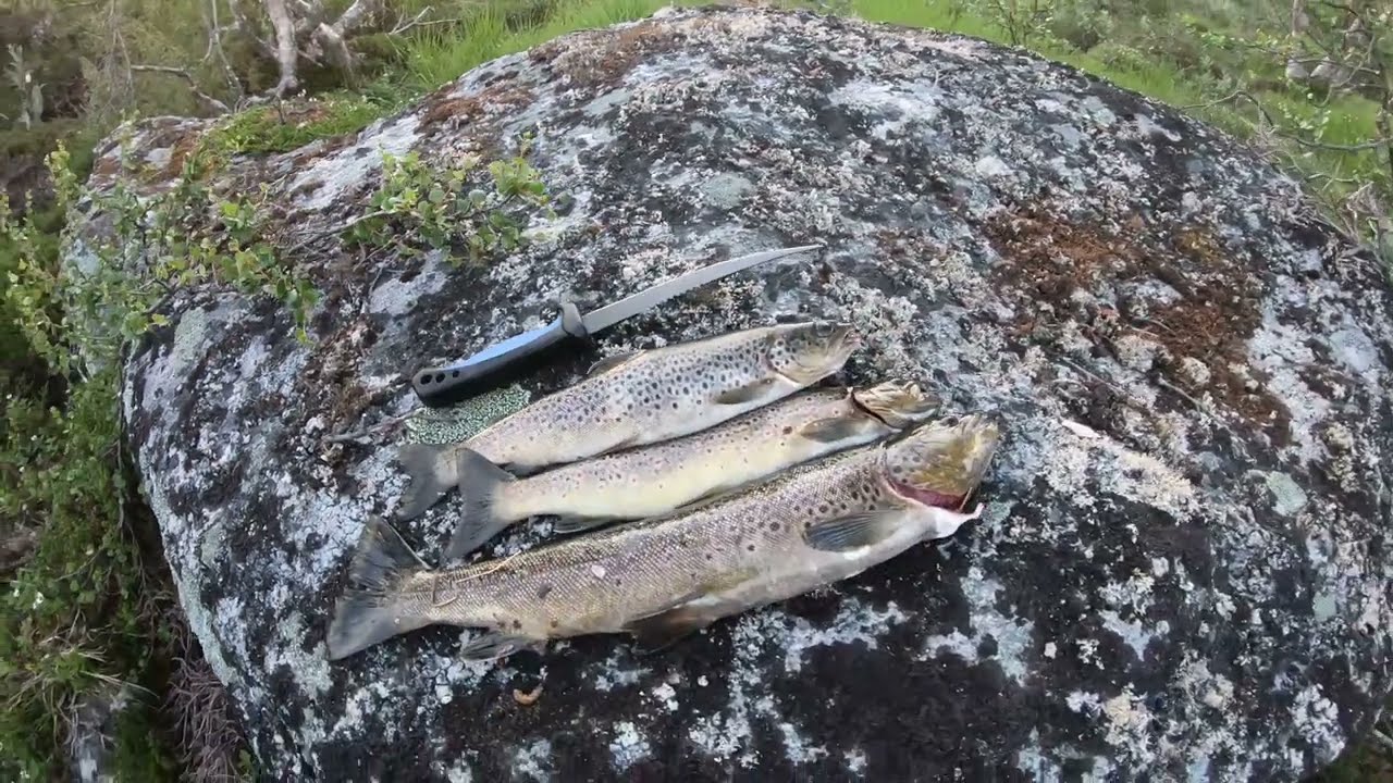 Kalastusvaellus Vätsäri ja Sør-Varanger (kesä 2023 osa 3/3)
