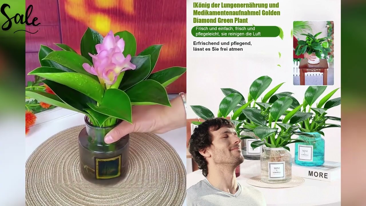 Luft m&uuml;helos reinigen, damit Sie frei atmen k&ouml;nnen!