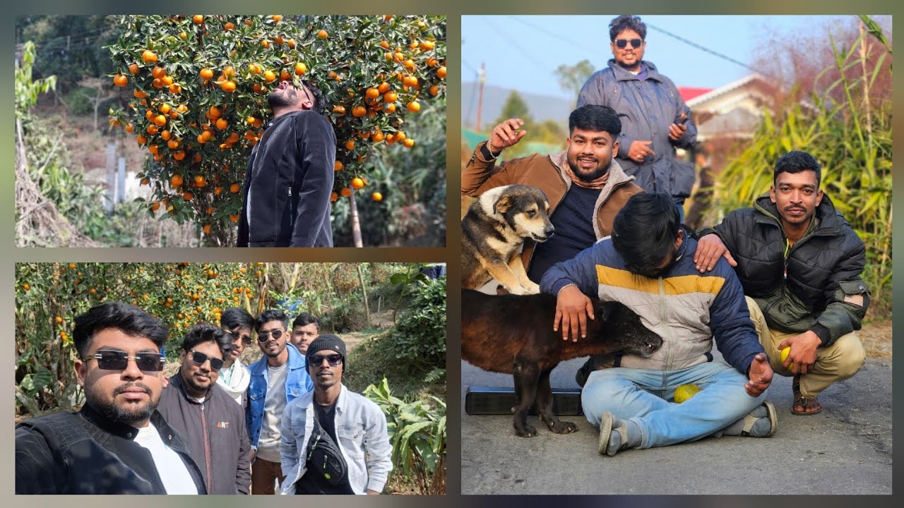 Part 2 পাহাড়ে কিছু ঘুরতে যাওয়ার জায়গা (সিটাগাং সুন্দর দৃশ্য)#minivlog #vlog #fun #trending #travel