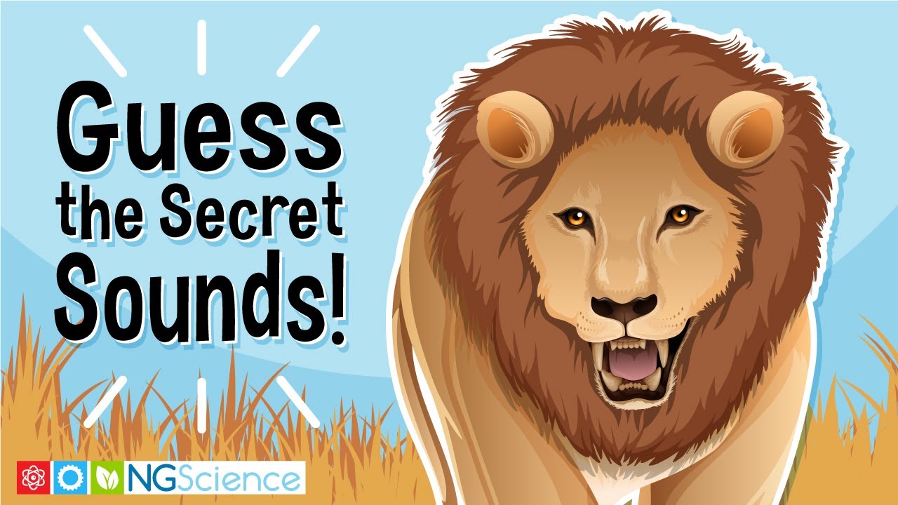 Guess the Secret Sounds!