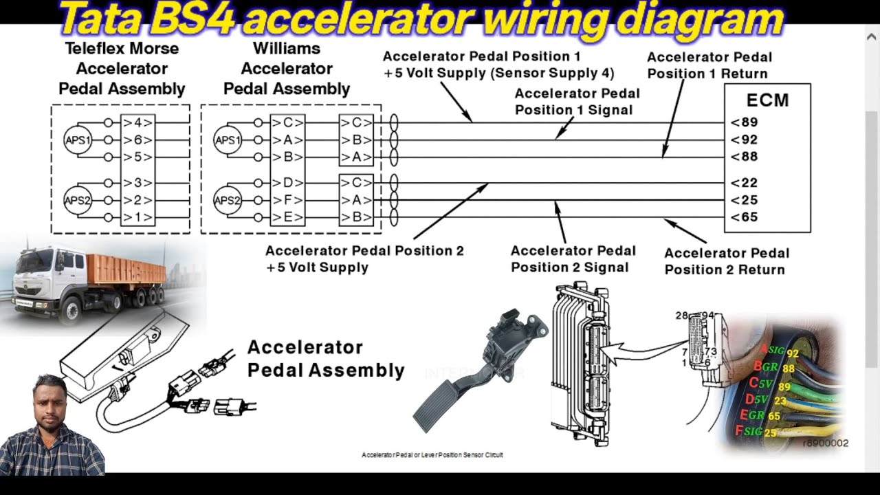tata bs4 accelerator pedal wiring diagram full detail fault active 1241.1242.0132