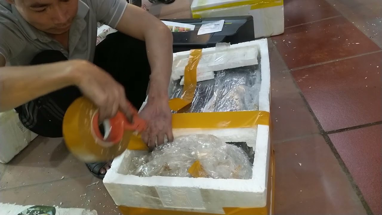 Chiến 98 bình dương 