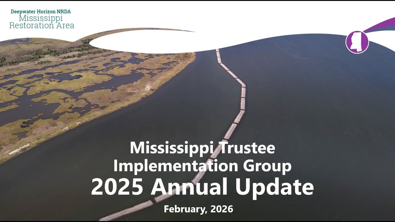 2025 Mississippi Trustee Implementation Group Annual Update