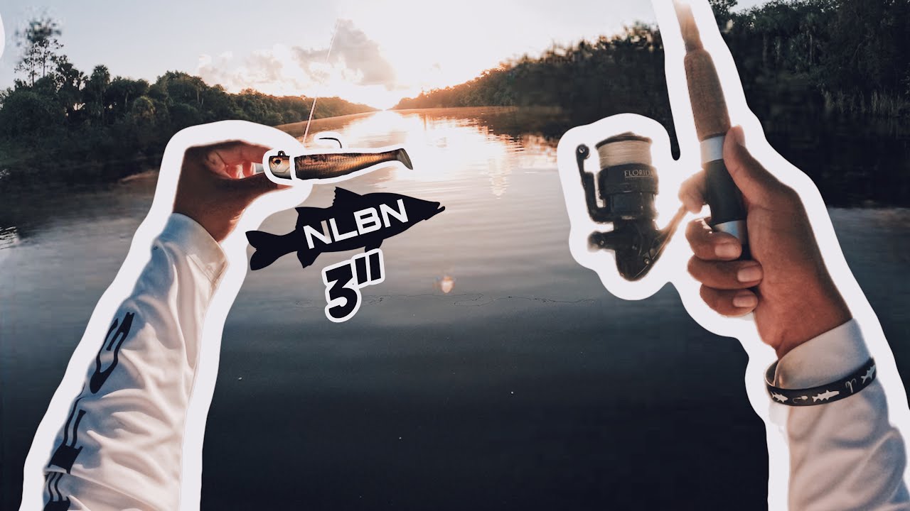 MY BIGGEST FISH ON NLBN 3&rdquo;