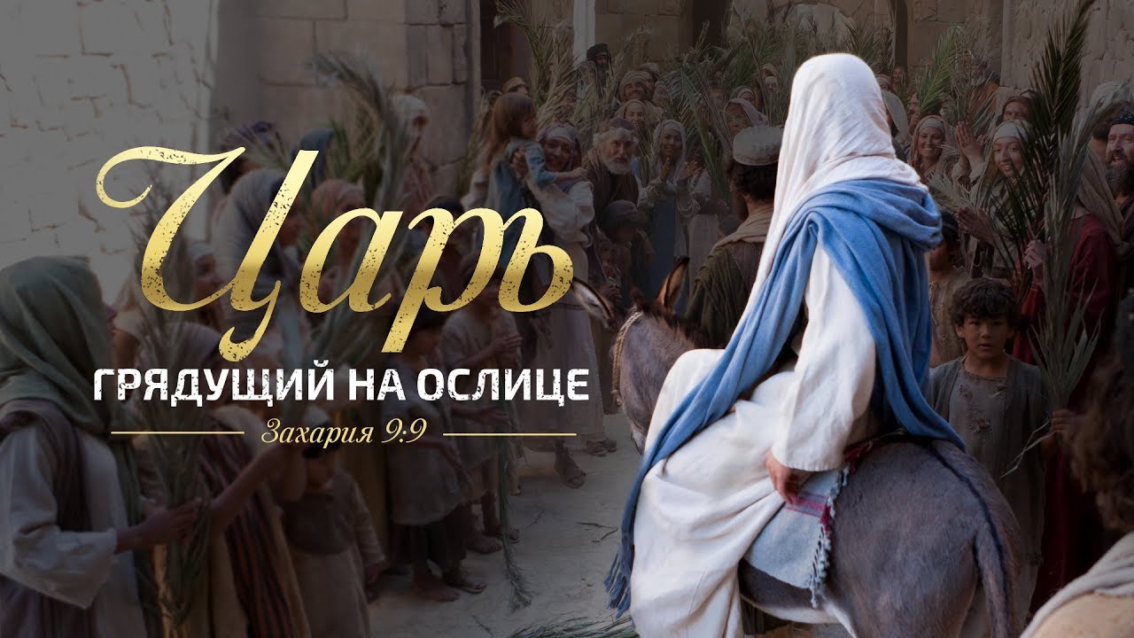 Царь, грядущий на ослице (Алексей Коломийцев)
