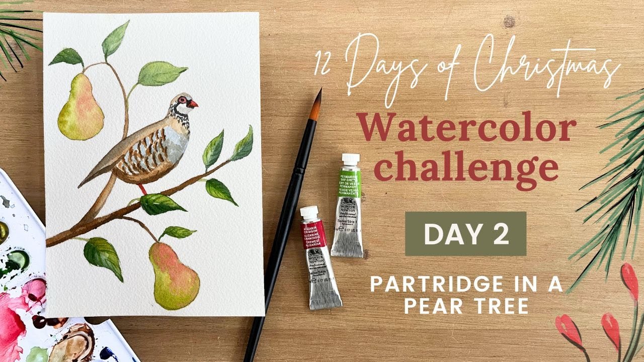 Day 2 - Partridge in a Pear Tree - 12 Days of Christmas Watercolor Challenge 2024